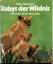 Heinz Sielmann: Babys der Wildnis. Tierk