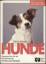 Ulrich Klever: Hunde  -  Experten- Rat f