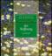 Phil Bosmans: Sonnenstrahlen der Hoffnun Phil Bosmans: Sonnenstrahlen der Hoffnun