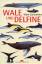 Wale und Delfine - Carwardine, Mark