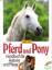 Jane Kidd: Pferd und Pony