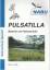 gebrauchtes Buch – Pulsatilla Heft 2 1999 – Bild 1