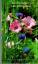 Brigitte Rischer: Gottes Segen zum Gebur Brigitte Rischer: Gottes Segen zum Gebur