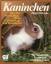 Helga Fritzsche: Kaninchen