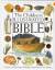 The Children's Illustrated Bible - Selina Hastings, Eric Thomas