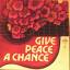 diverse: Give Peace a Chance