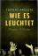 Thomas Brussig: Wie es leuchtet