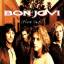 Bon Jovi: These Days (*1995)