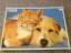 Puzzle Hund und Katze