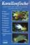 Korallenfische - Zentraler Indopazifik - Eichler, Dieter; Myers, Robert F.