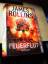 James Rollins: Feuerflut [Gebundene Ausg