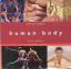 human body - Beverly McMillan