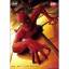 Sam Raimi: Spider-Man     (2 DVDs)