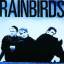 Rainbirds