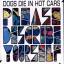 Dogs Die In Hot Cars: Please Describe Yo