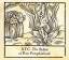 XTC: The Ballad of Peter Pumkinhead