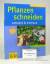 Flehmig, Anja/Ursel Borstell: Pflanzen s Flehmig, Anja/Ursel Borstell: Pflanzen s