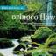 Relax & Listen to Orinoco Flow