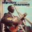 Muddy Waters: At Newport 1960