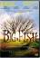 gebrauchter Film – Tim Burton – Big Fish – Bild 1