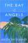 The Bay of Angels - Anita Brookner
