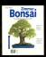 Pfisterer,   Jochen: Zimmer-Bonsai / So 