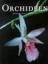 Starosta, Paul und Michel Paul: Orchidee