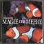 David Doubilet: Magie der Meere - Bildba