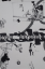 gebrauchtes Buch – THE STRANGLERS / SARAH MARRS / MK KÄHNE / RONALD LIPPOK – Würgemale – Bild 1