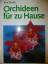 Jörn Pinske: Orchideen für zu Hause