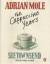 Adrian Mole: The Cappuccino Years [2 MCs] - Sue Townsend