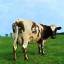 Pink Floyd: Atom Heart Mother