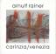 Arnulf Rainer: Carinzia/ Venezia., Mit e