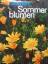 Willy Seyffert: Sommerblumen