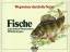 Flügel,Hans Jürgen+Edwin Möhn: Fische un