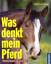 Binder, Sybille L: Was denkt mein Pferd 