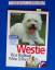 Inga Flamang: Westie West Highland white