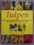 Stanley Killingback: Tulpen • Ein illust