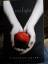 Stephenie Meyer: Twiligjt