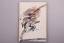 Hrsg.]: Art Directors Club Verlag: ART D