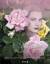gebrauchtes Buch – Mazza Giuseppe – Roseraie Princesse Grace  de Monaco - Princess Grace Rose Garden - Roseto Pincipessa Grace In ital., franz. u. engl. Sprache. – Bild 1