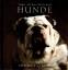 Yann Arthus-Bertrand: Hunde