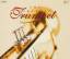 Trompetenkonzerte: The Virtuoso Trumpet Trompetenkonzerte: The Virtuoso Trumpet