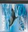 Dolphins: Sounds of Nature Collection - 