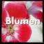 Stefano Dulevant: Blumen