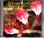 Richard Souther: Illumination Hildegard 