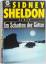 Sidney Sheldon: Im Schatten der Götter.