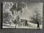 Winterimpression