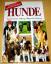 Rino Falappi: Hunde