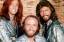 gebrauchter Tonträger – Bee Gees – Bee Gees Main course – Bild 2